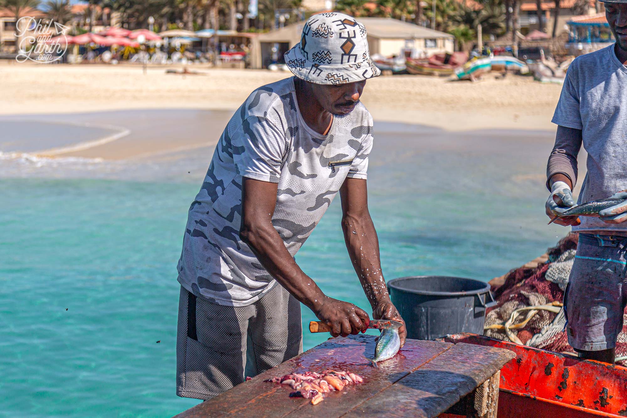 Gutting the fish takes place on the pier