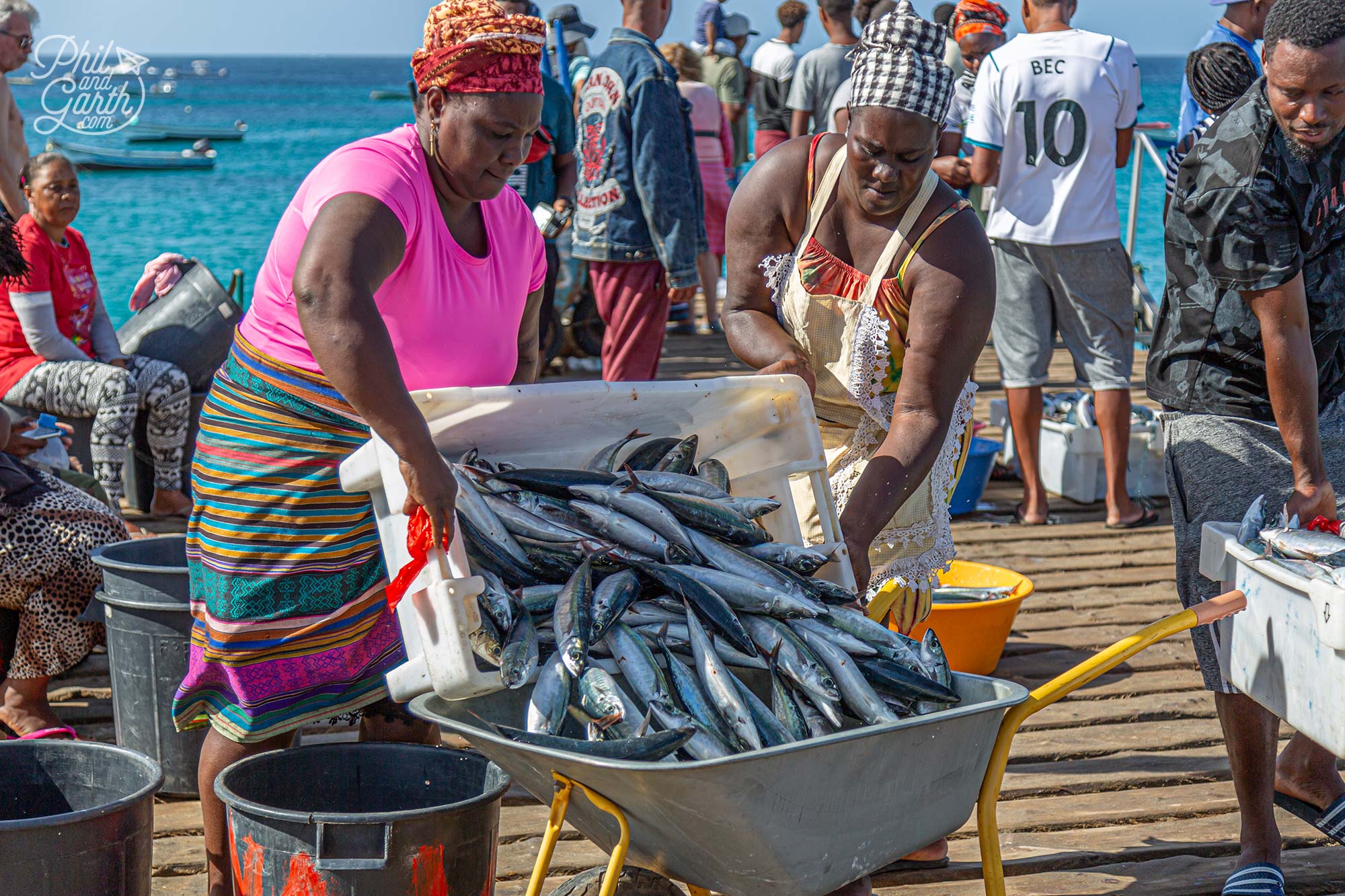 Hard working ladies transfer fresh fish to a wheelbarrow