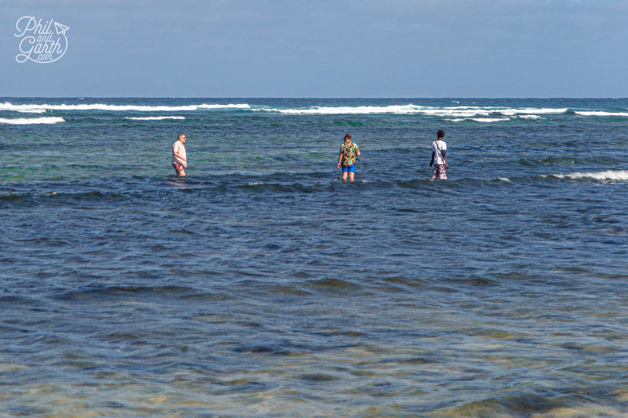 Searching for baby sharks with our guide