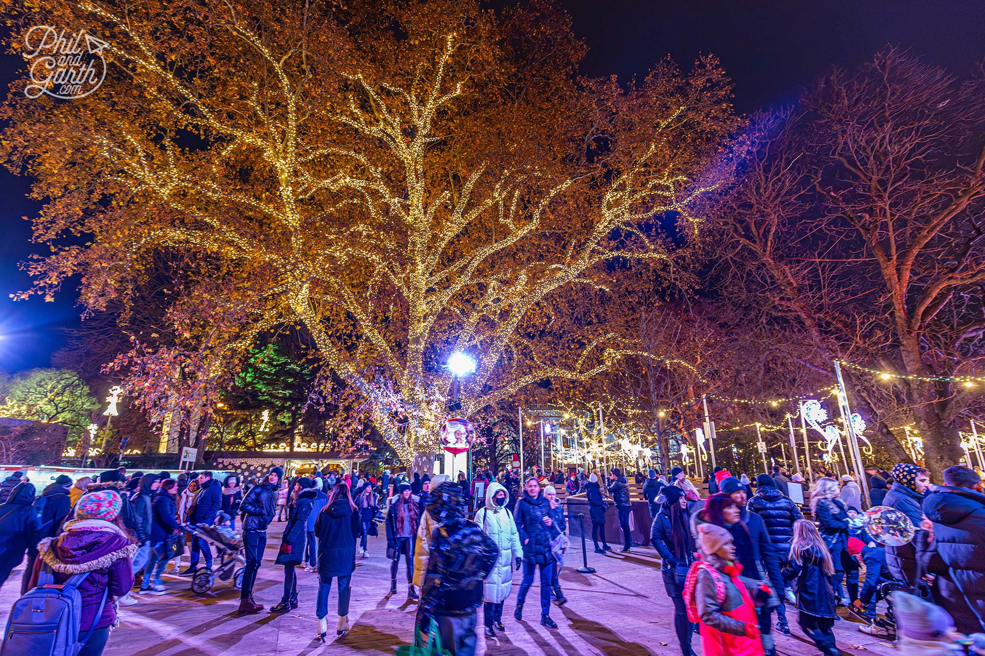 The delightful glow from all the glittering fairy lights