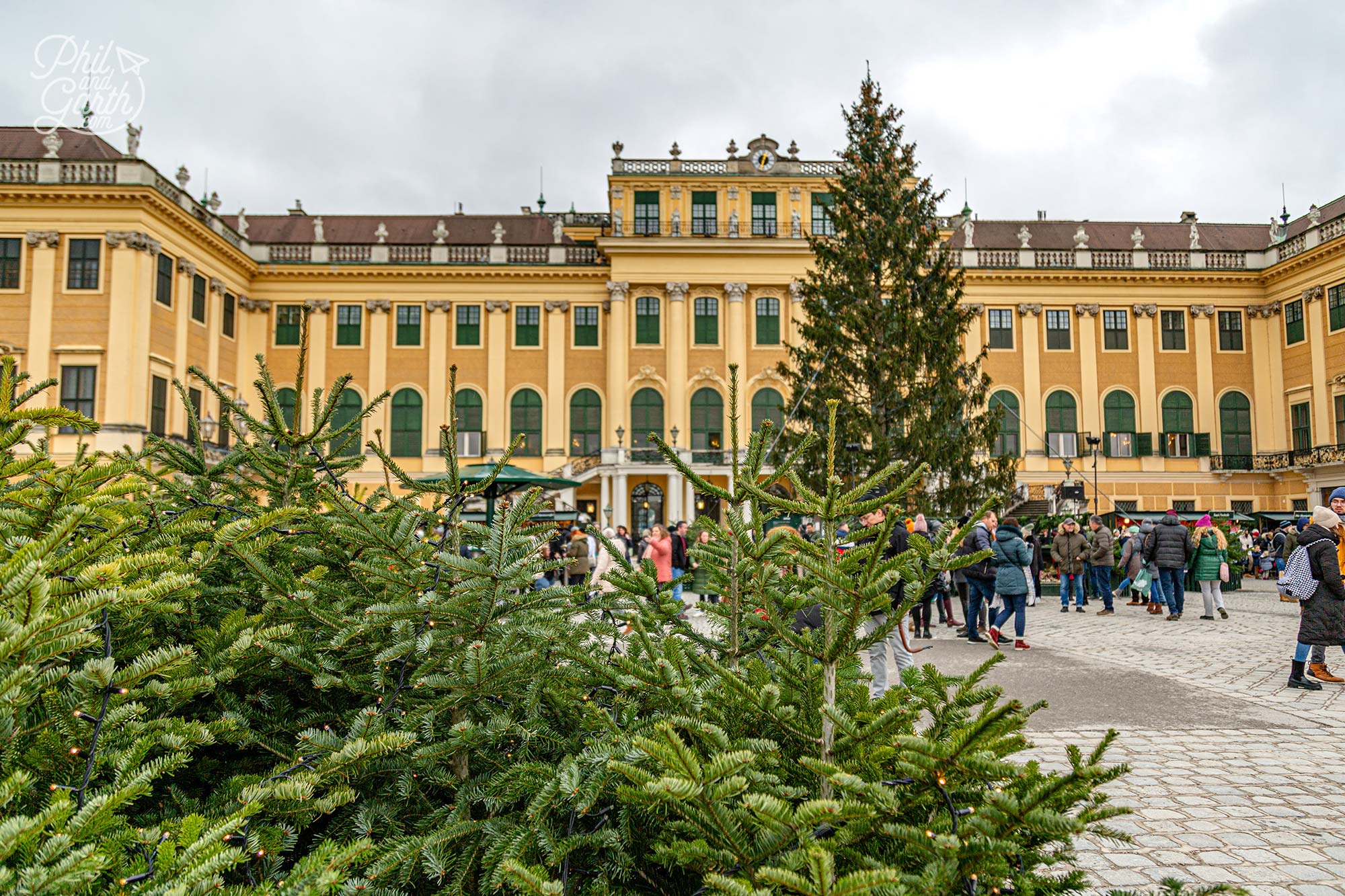 The huge Christmas tree is gifted each year by the Austrian Federal Ministry of Agriculture & Forestry