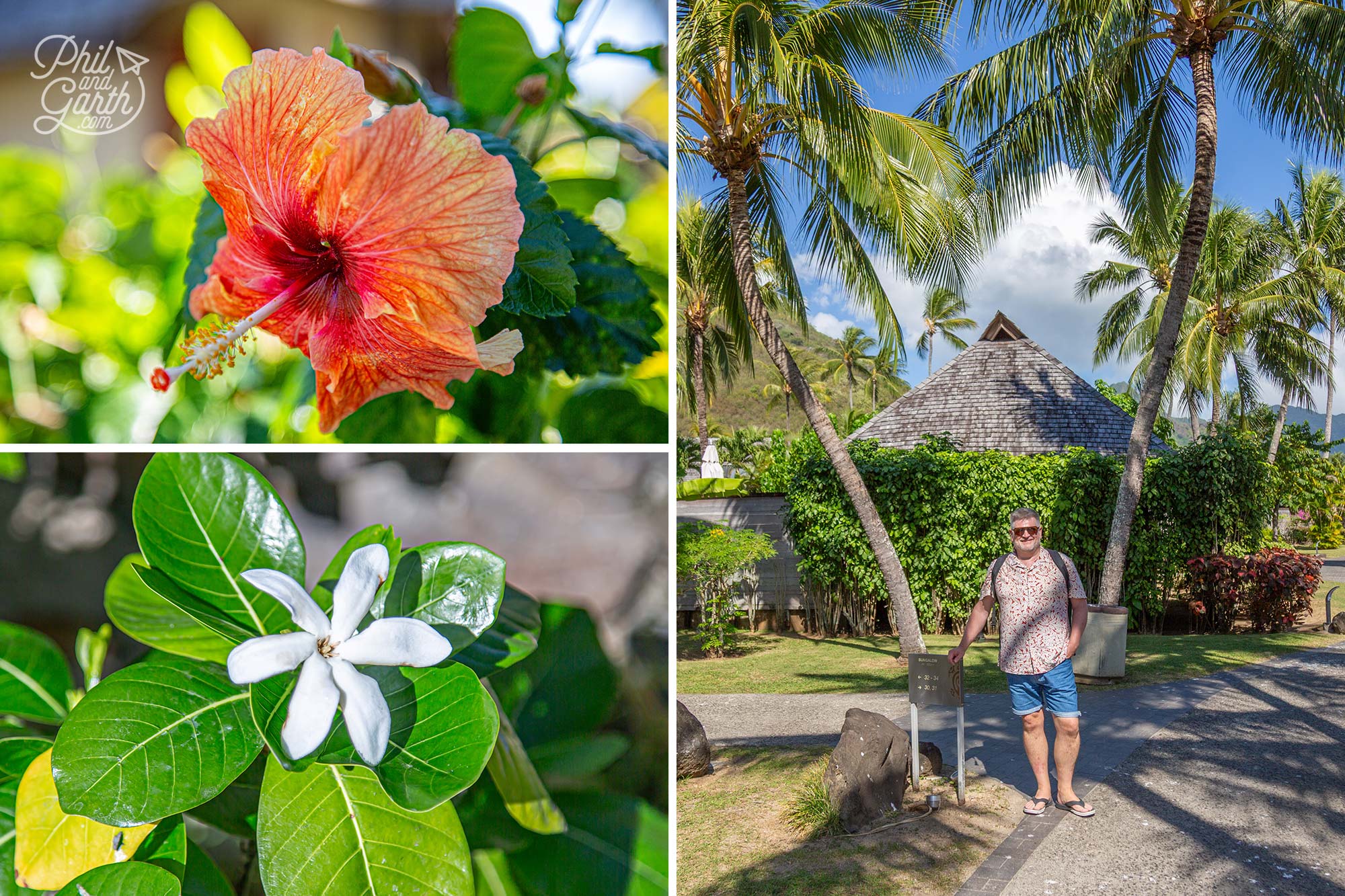 Located away from the beach in the gardens which are full of gorgeous tropical flowers