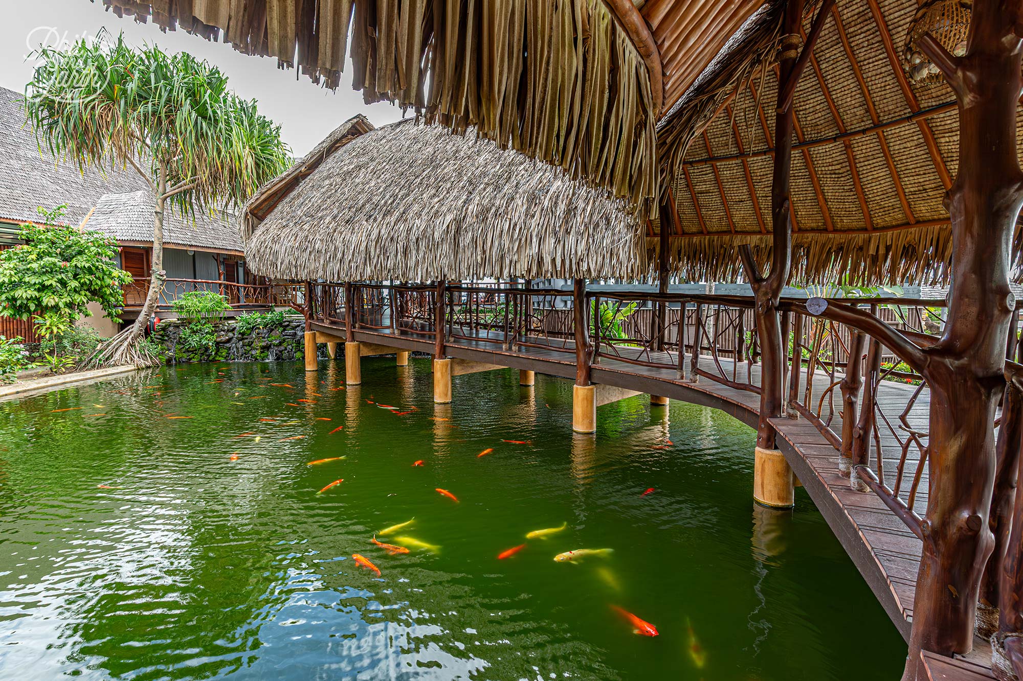The walkway from reception across the pond leads you to the shops