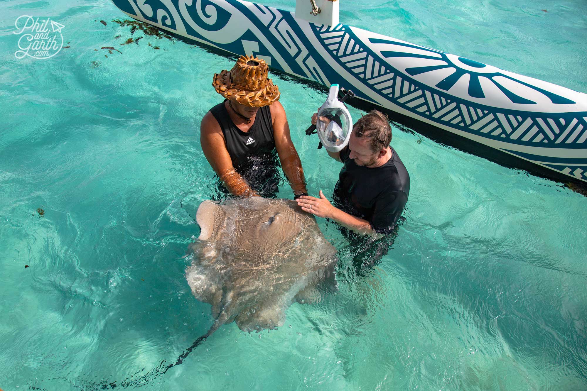 Garth meeting one of the rays close up