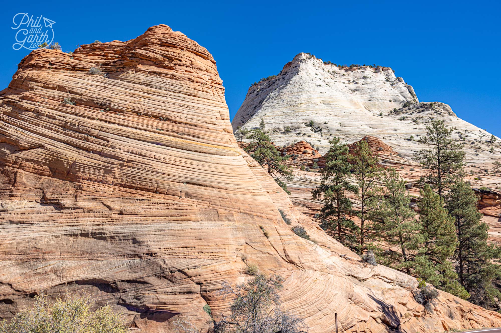 So many incredible views from the van windows