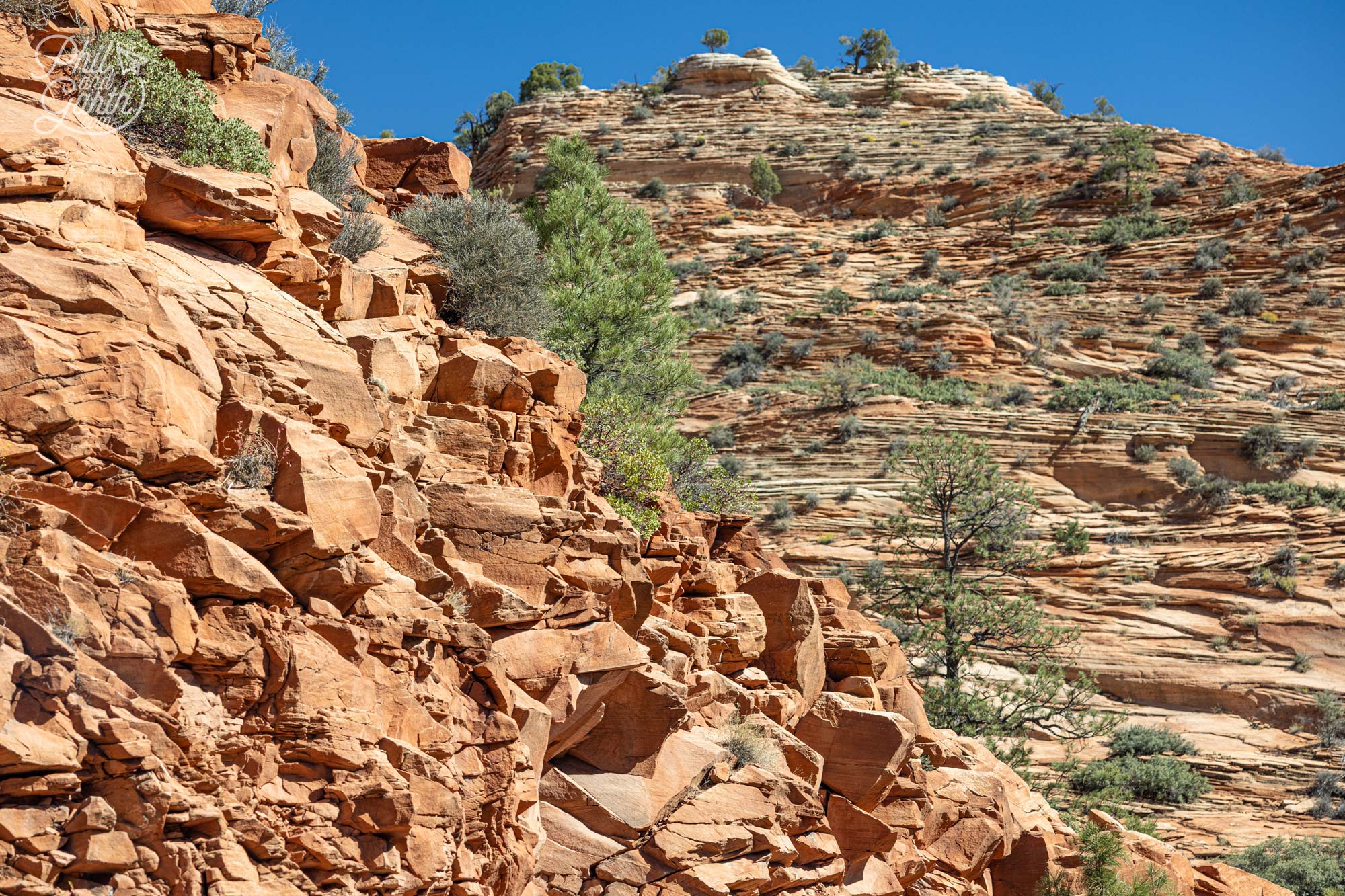 So many wonderful textures in the rock formations