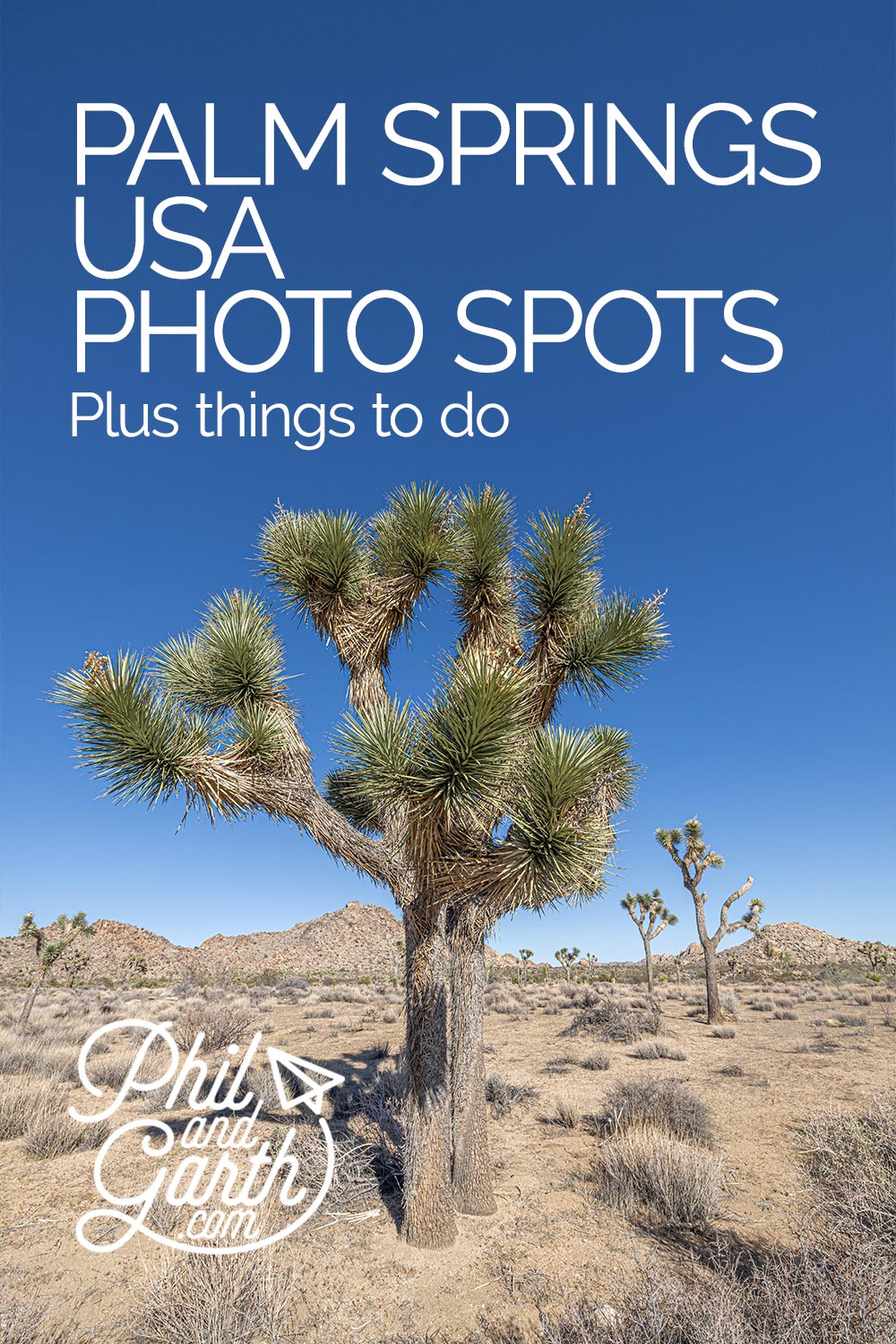 Palm Springs Photography nearby Joshua tree national park