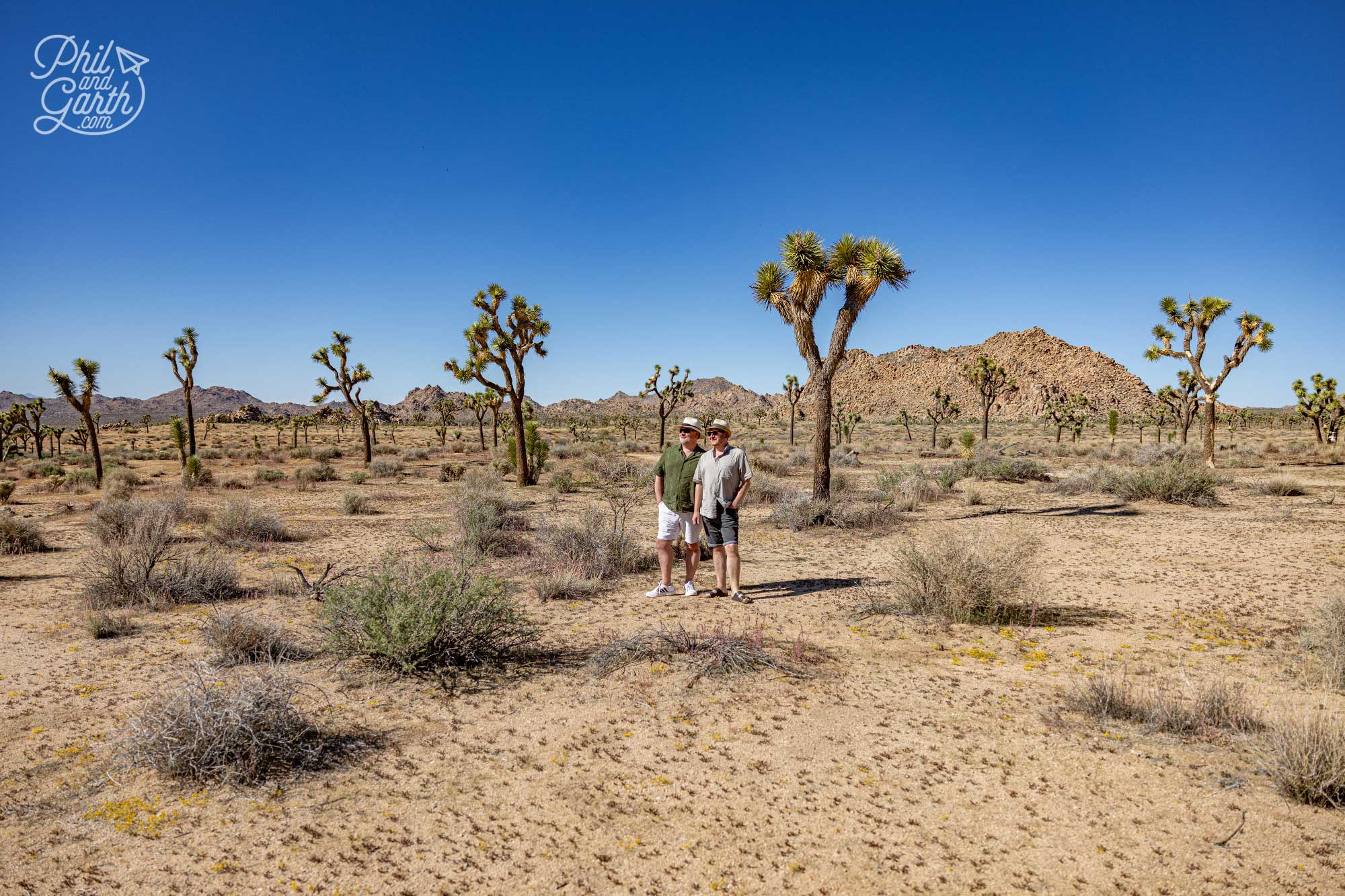 Joshua Tree National Park is fantastic for photography