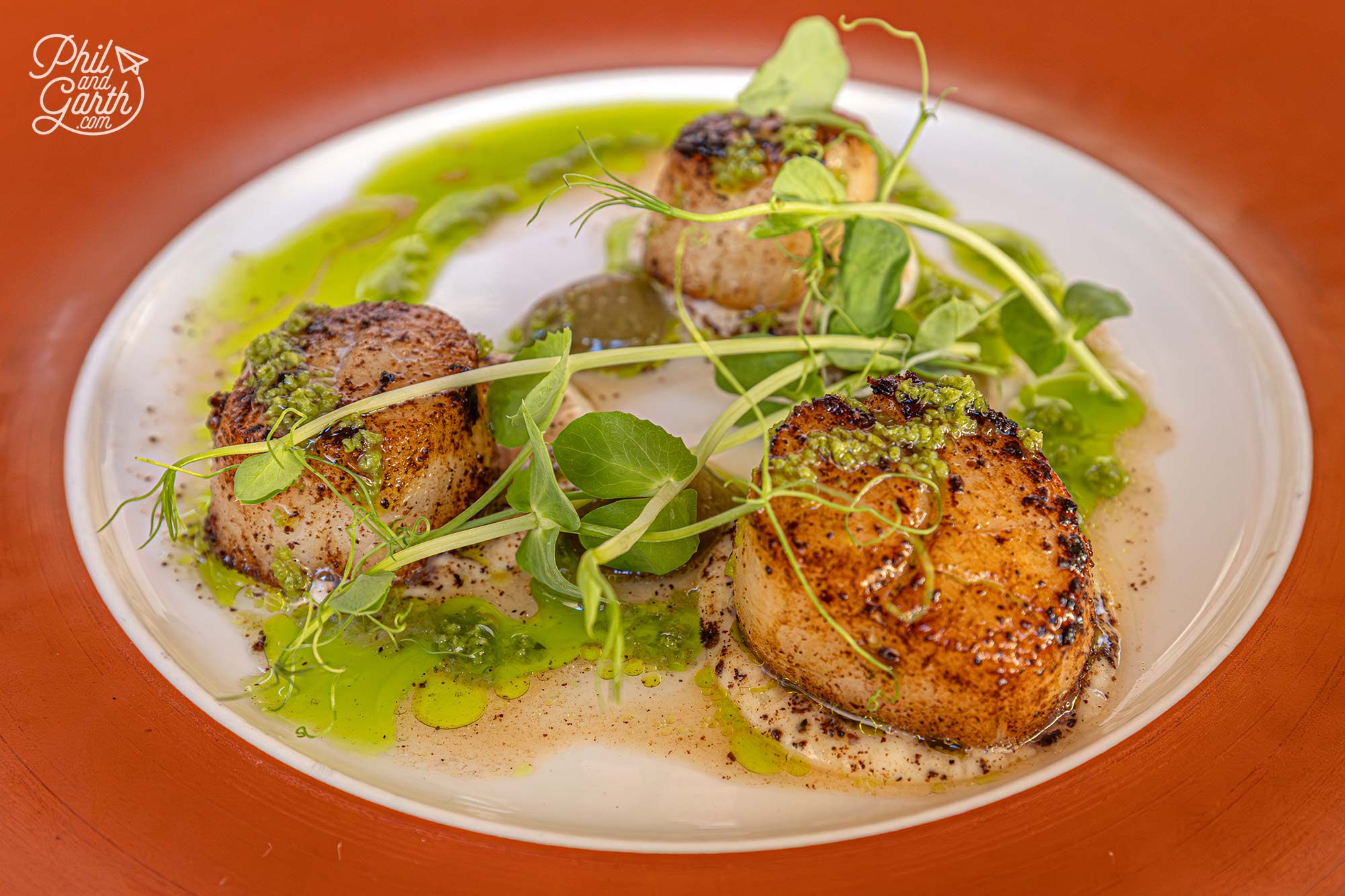Our starter of seared scallops served on raisin purée with a basil oil