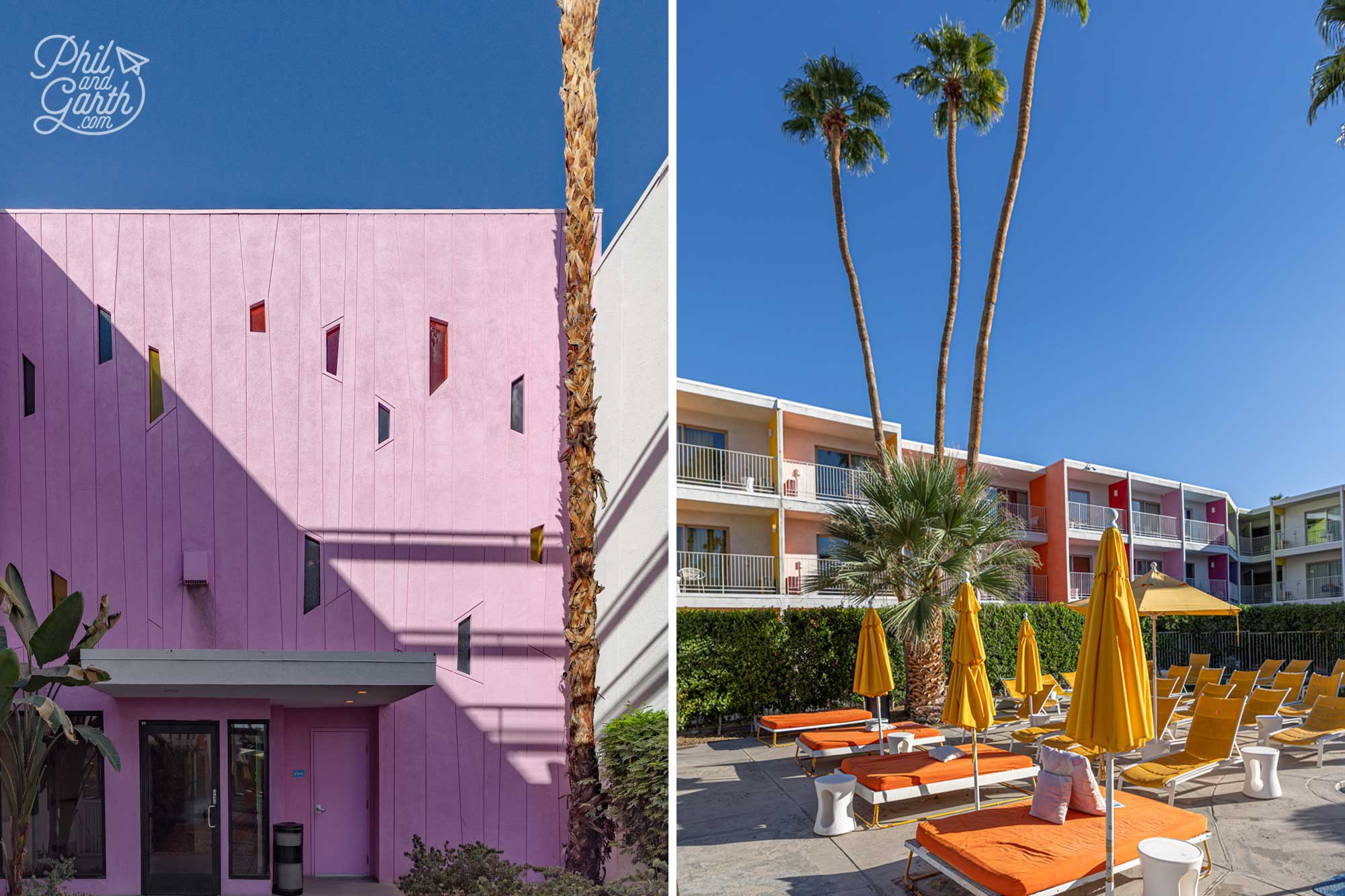 Saguaro is unapologetically colourful